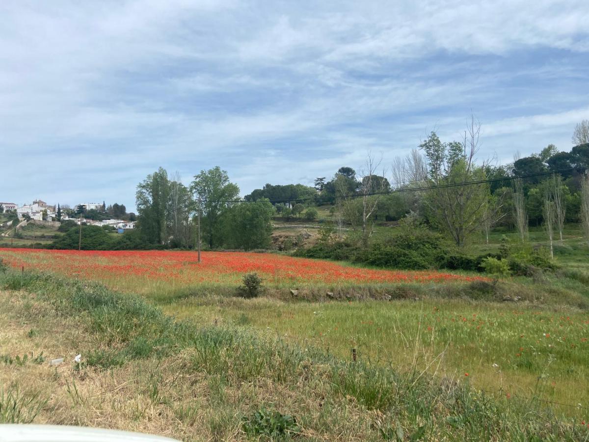 Apartamento Rural Casa Monte Apartment Cazalla de la Sierra Exterior foto
